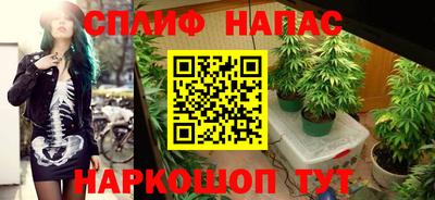 прущие крисы Тара