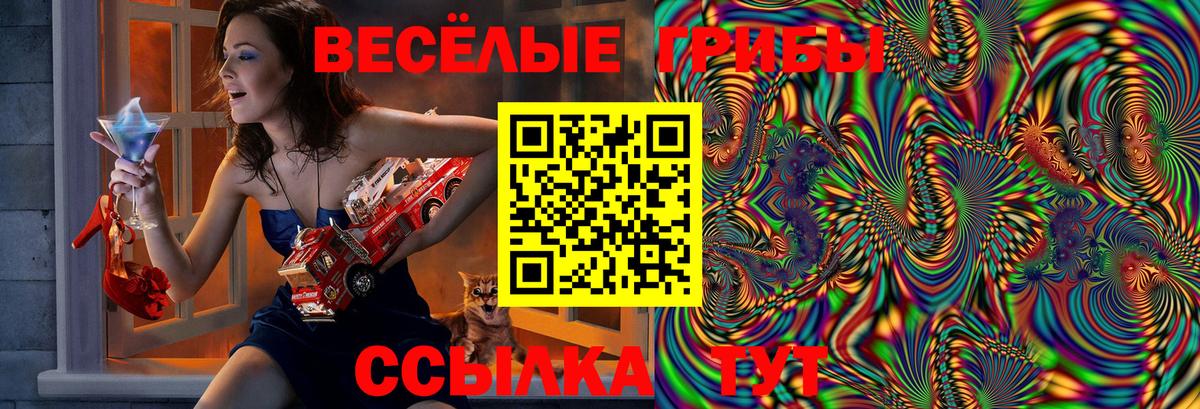 Галлюциногенные грибы GOLDEN TEACHER  Вход с VPN  Норильск 
