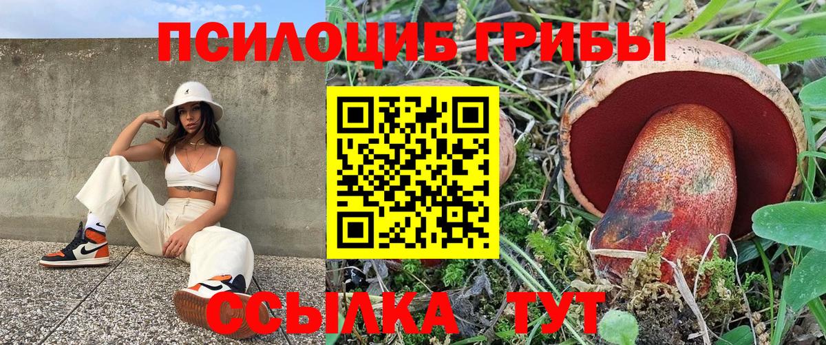 Псилоцибиновые грибы GOLDEN TEACHER Норильск